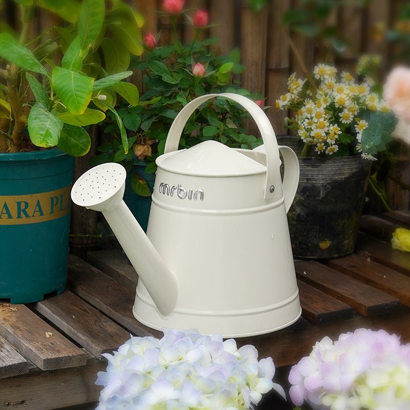 Watering Can with Long Spout and Curved Handle - mrbin