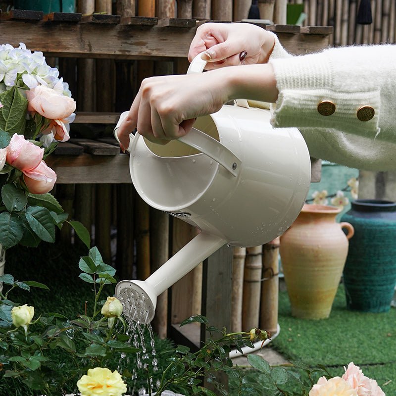 Watering Can with Long Spout and Curved Handle - mrbin