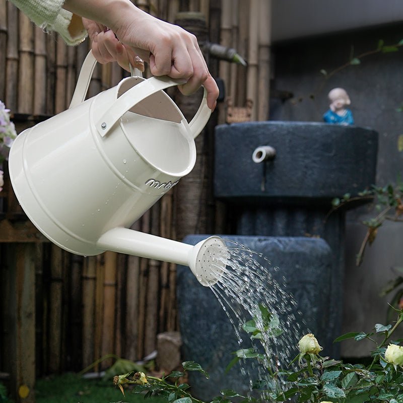 Watering Can with Long Spout and Curved Handle - mrbin